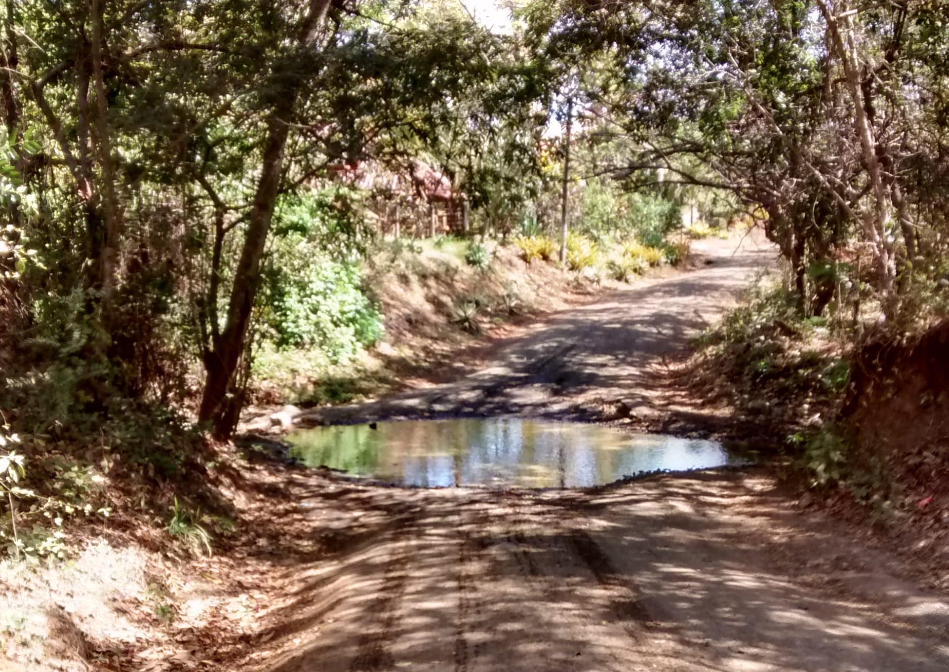 Why is there water on the road?